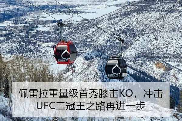 佩雷拉重量级首秀膝击KO，冲击UFC二冠王之路再进一步